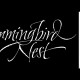 Hummingbird_2