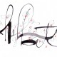 alpha-draw363